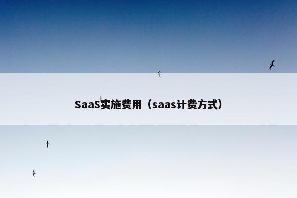 SaaS实施费用（saas计费方式）