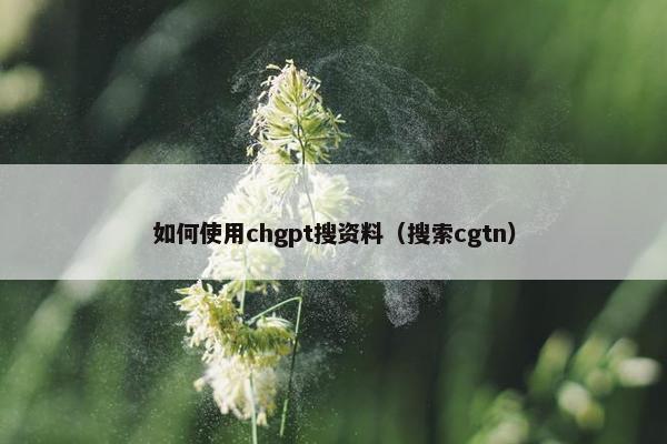 如何使用chgpt搜资料（搜索cgtn）