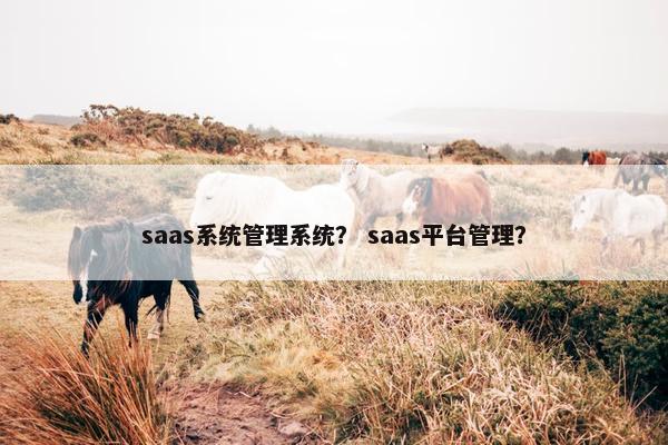 saas系统管理系统？ saas平台管理？