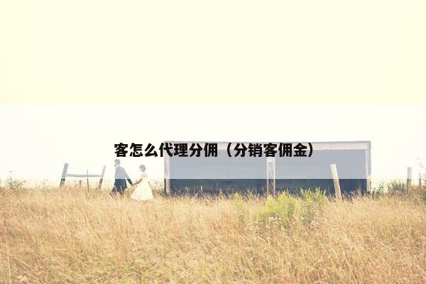 客怎么代理分佣（分销客佣金）
