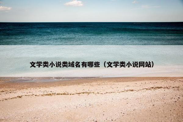 文学类小说类域名有哪些（文学类小说网站）