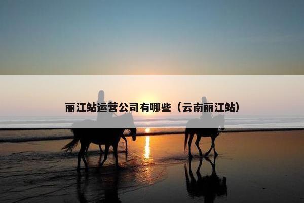 丽江站运营公司有哪些（云南丽江站）
