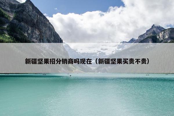 新疆坚果招分销商吗现在（新疆坚果买贵不贵）