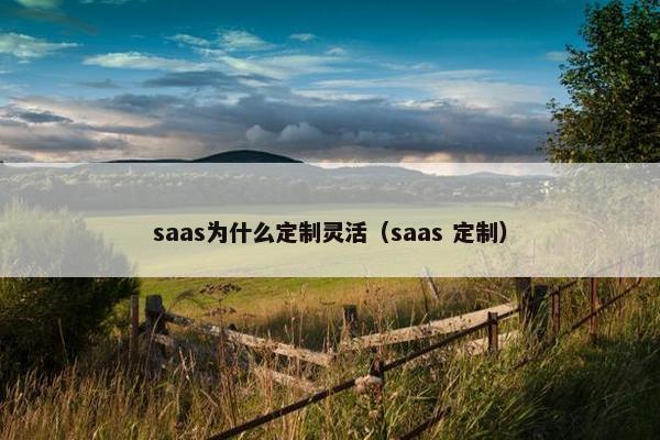 saas为什么定制灵活（saas 定制）