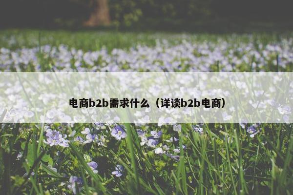 电商b2b需求什么（详谈b2b电商）