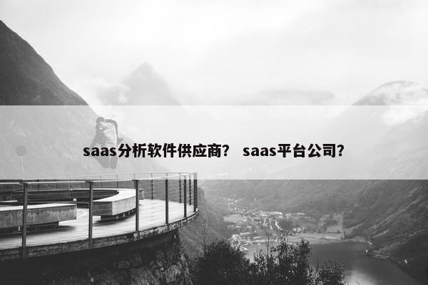 saas分析软件供应商？ saas平台公司？