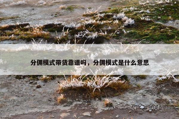 分佣模式带货靠谱吗，分佣模式是什么意思