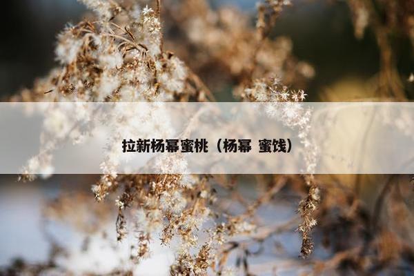 拉新杨幂蜜桃（杨幂 蜜饯）
