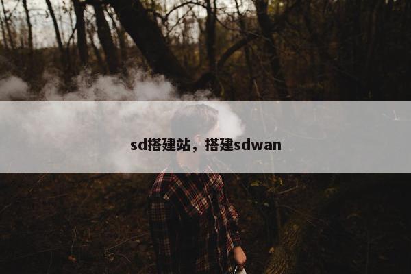 sd搭建站，搭建sdwan