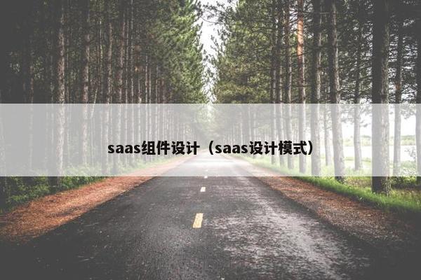 saas组件设计（saas设计模式）