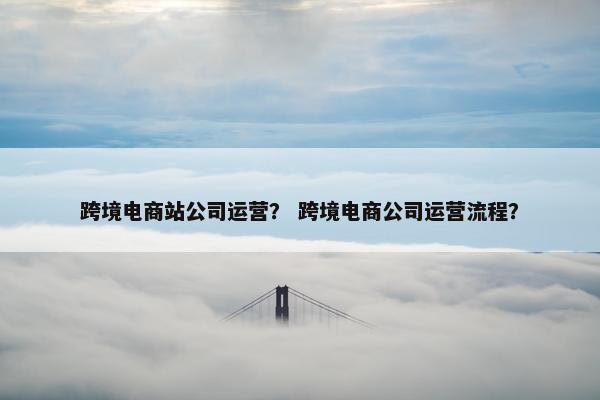 跨境电商站公司运营？ 跨境电商公司运营流程？