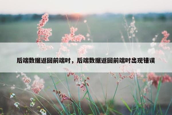 后端数据返回前端时，后端数据返回前端时出现错误