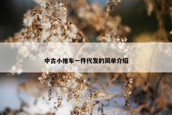 中古小推车一件代发的简单介绍