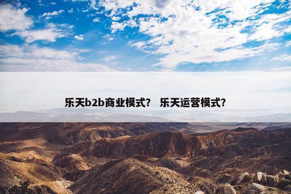 乐天b2b商业模式？ 乐天运营模式？