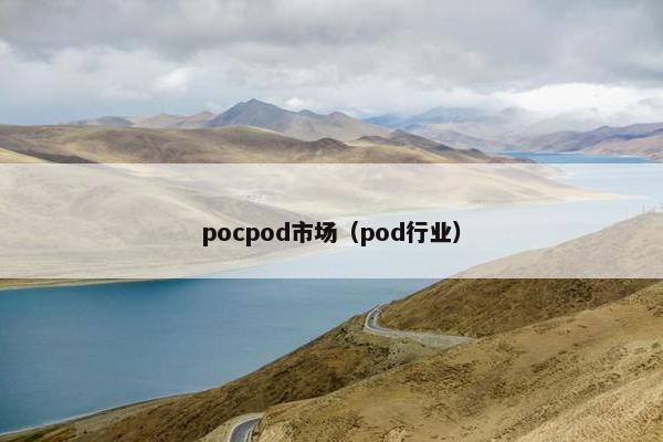 pocpod市场（pod行业）
