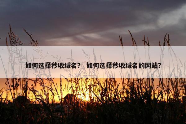 如何选择秒收域名？ 如何选择秒收域名的网站？