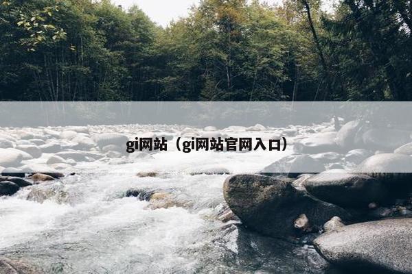 gi网站（gi网站官网入口）