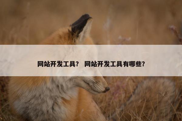 网站开发工具？ 网站开发工具有哪些？