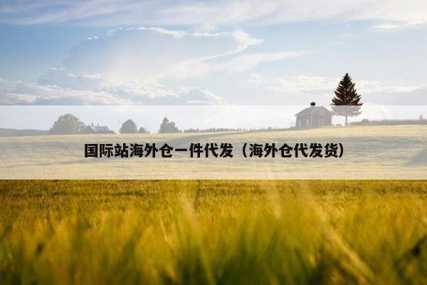 国际站海外仓一件代发（海外仓代发货）