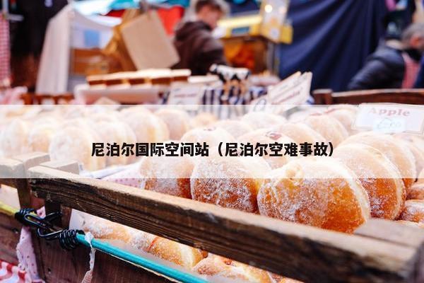 尼泊尔国际空间站（尼泊尔空难事故）