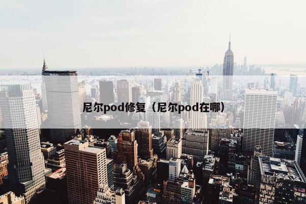 尼尔pod修复（尼尔pod在哪）