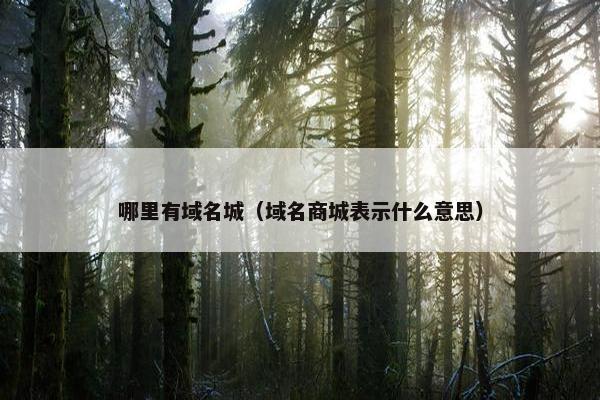 哪里有域名城（域名商城表示什么意思）