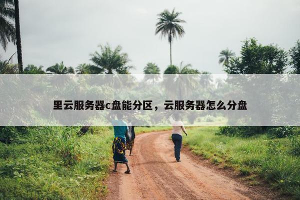 里云服务器c盘能分区，云服务器怎么分盘