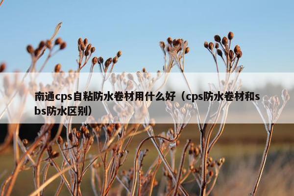 南通cps自粘防水卷材用什么好（cps防水卷材和sbs防水区别）