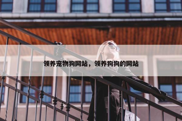 领养宠物狗网站，领养狗狗的网站