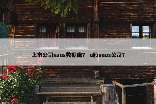上市公司saas数据库？ a股saas公司？
