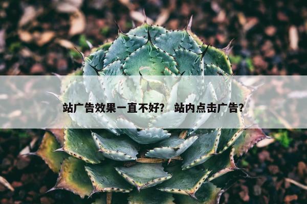 站广告效果一直不好？ 站内点击广告？
