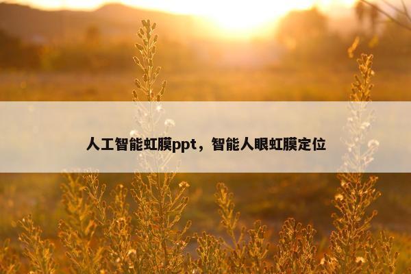 人工智能虹膜ppt，智能人眼虹膜定位