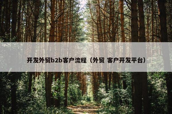 开发外贸b2b客户流程（外贸 客户开发平台）