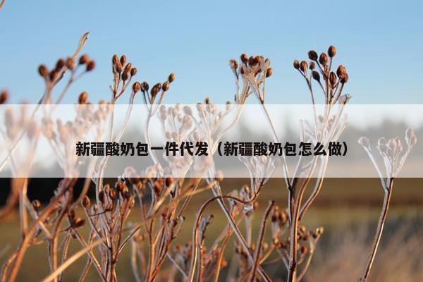 新疆酸奶包一件代发（新疆酸奶包怎么做）