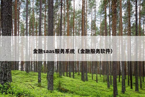 金融saas服务系统（金融服务软件）