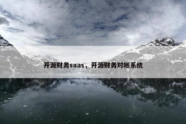 开源财务saas，开源财务对帐系统