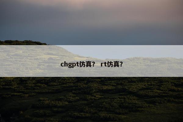 chgpt仿真？ rt仿真？
