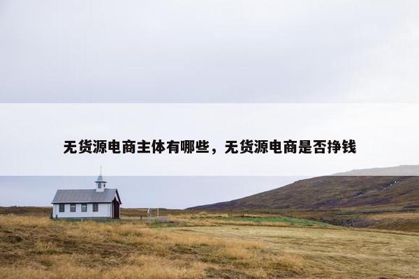 无货源电商主体有哪些，无货源电商是否挣钱
