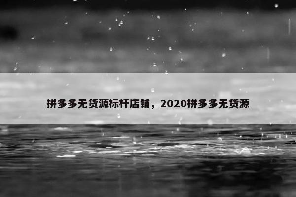 拼多多无货源标杆店铺，2020拼多多无货源