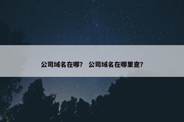 公司域名在哪？ 公司域名在哪里查？