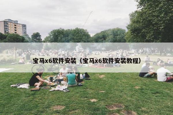 宝马x6软件安装（宝马x6软件安装教程）