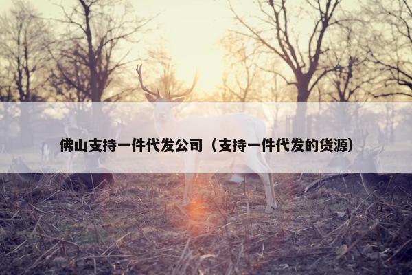 佛山支持一件代发公司（支持一件代发的货源）