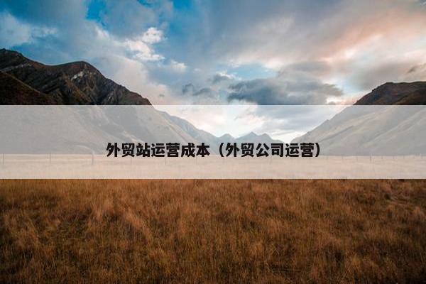 外贸站运营成本（外贸公司运营）