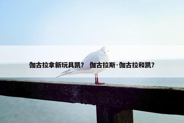 伽古拉拿新玩具凯？ 伽古拉斯·伽古拉和凯？