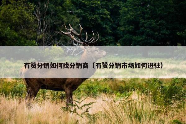 有赞分销如何找分销商（有赞分销市场如何进驻）