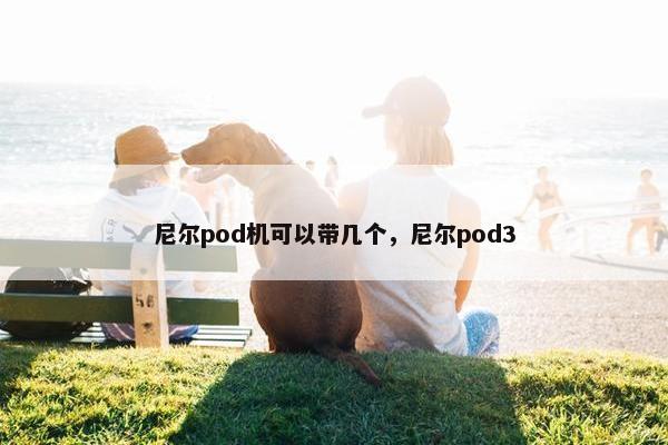 尼尔pod机可以带几个，尼尔pod3