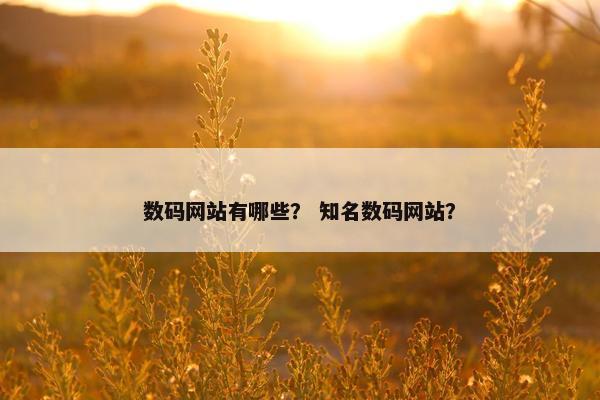 数码网站有哪些？ 知名数码网站？