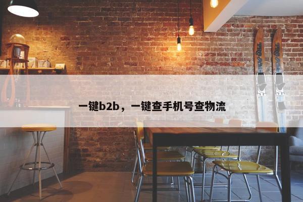 一键b2b，一键查手机号查物流