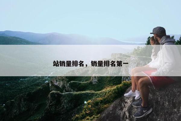 站销量排名，销量排名第一
