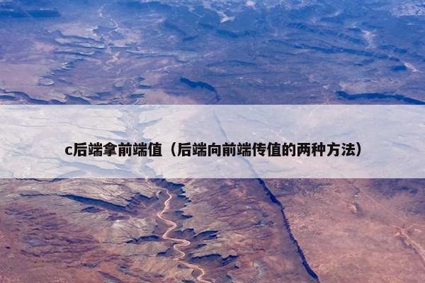 c后端拿前端值（后端向前端传值的两种方法）